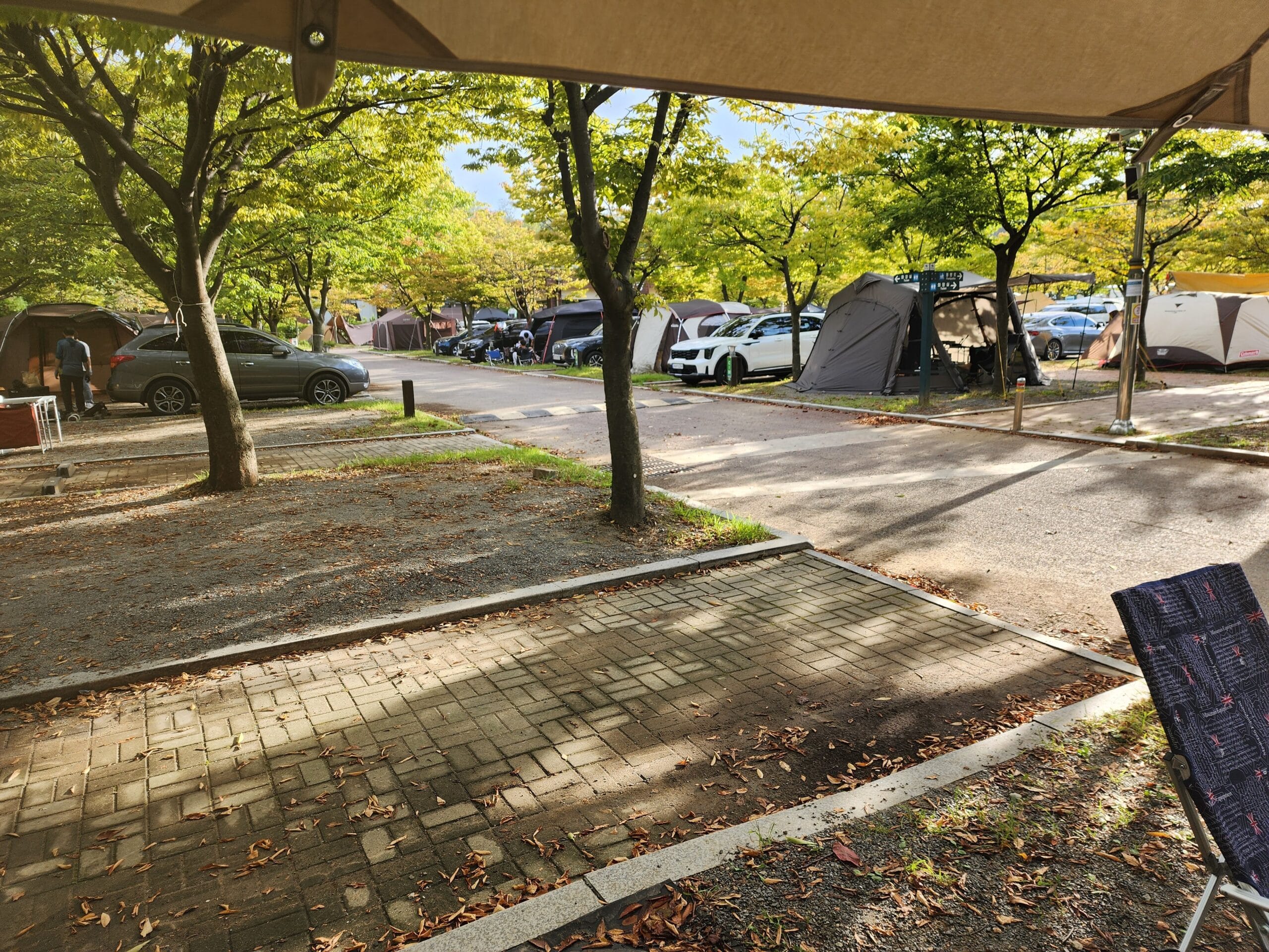 20241001 164239 1 scaled